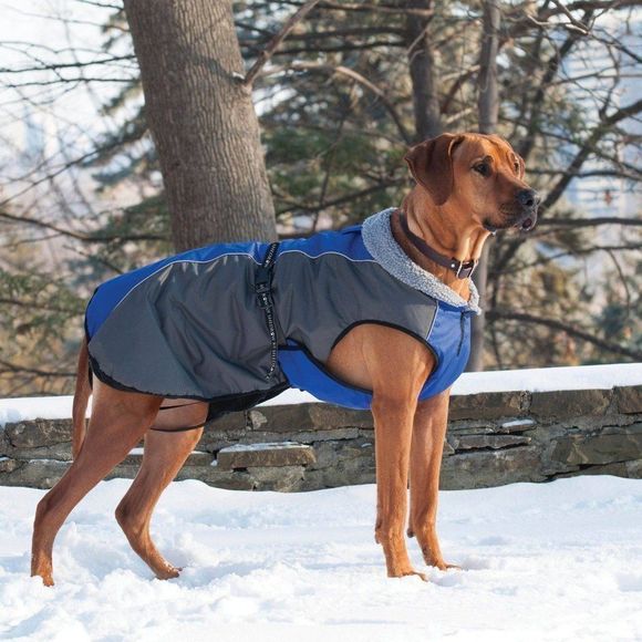 Shedrow K9 Chinook Dog Coat - Blue and Grey Sz MEDIUM - Picture 1 of 7